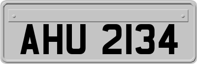 AHU2134