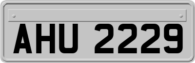 AHU2229