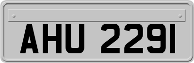 AHU2291