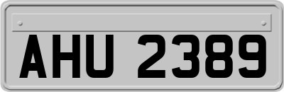 AHU2389