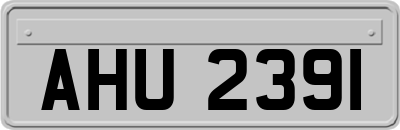 AHU2391