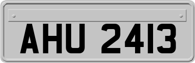 AHU2413