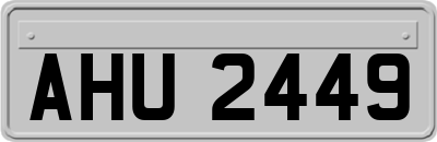 AHU2449