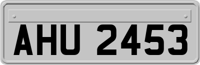 AHU2453