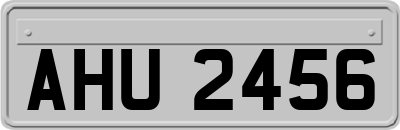 AHU2456