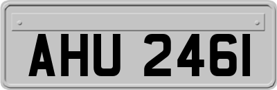 AHU2461