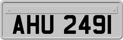 AHU2491