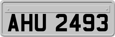 AHU2493