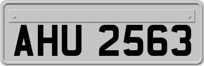 AHU2563