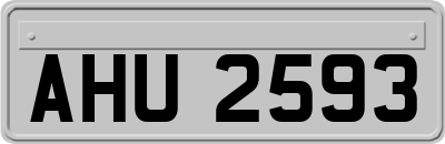 AHU2593