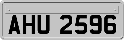 AHU2596