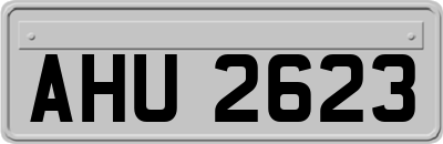 AHU2623