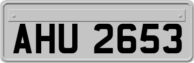 AHU2653