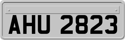 AHU2823