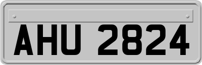 AHU2824