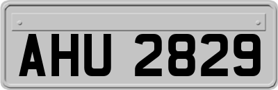AHU2829