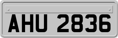 AHU2836