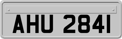 AHU2841