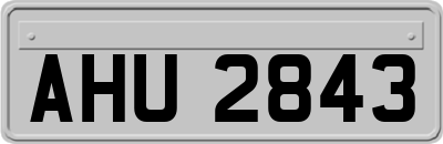 AHU2843