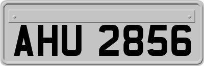 AHU2856
