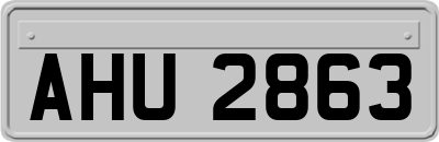 AHU2863
