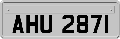 AHU2871