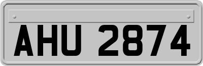 AHU2874