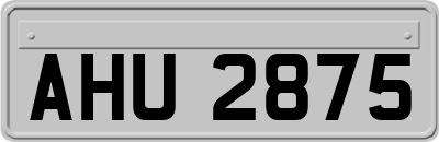 AHU2875