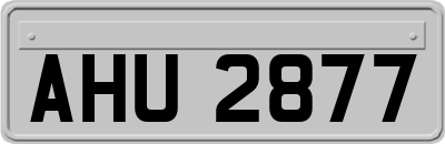 AHU2877