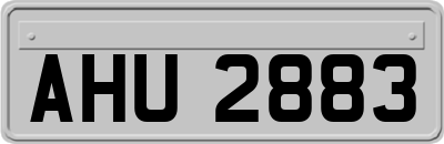 AHU2883