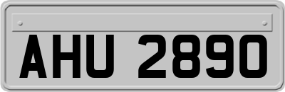 AHU2890