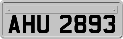 AHU2893
