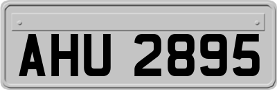 AHU2895