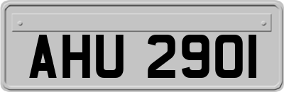 AHU2901