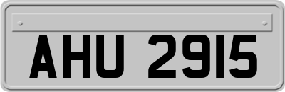AHU2915