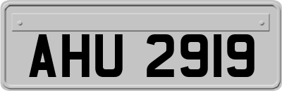 AHU2919