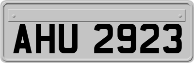 AHU2923