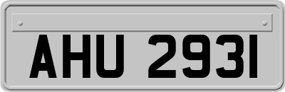AHU2931