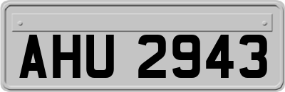 AHU2943