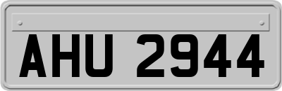 AHU2944