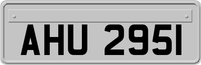 AHU2951