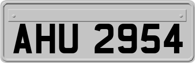 AHU2954
