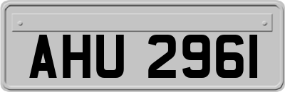 AHU2961