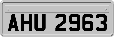 AHU2963