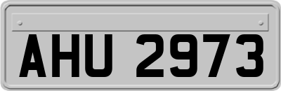 AHU2973