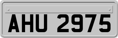 AHU2975