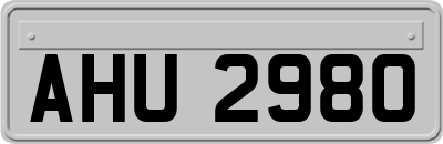 AHU2980
