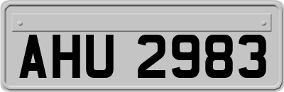AHU2983