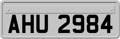 AHU2984