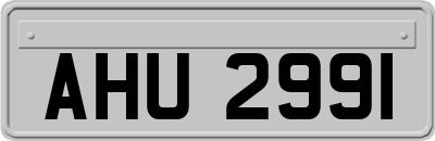 AHU2991